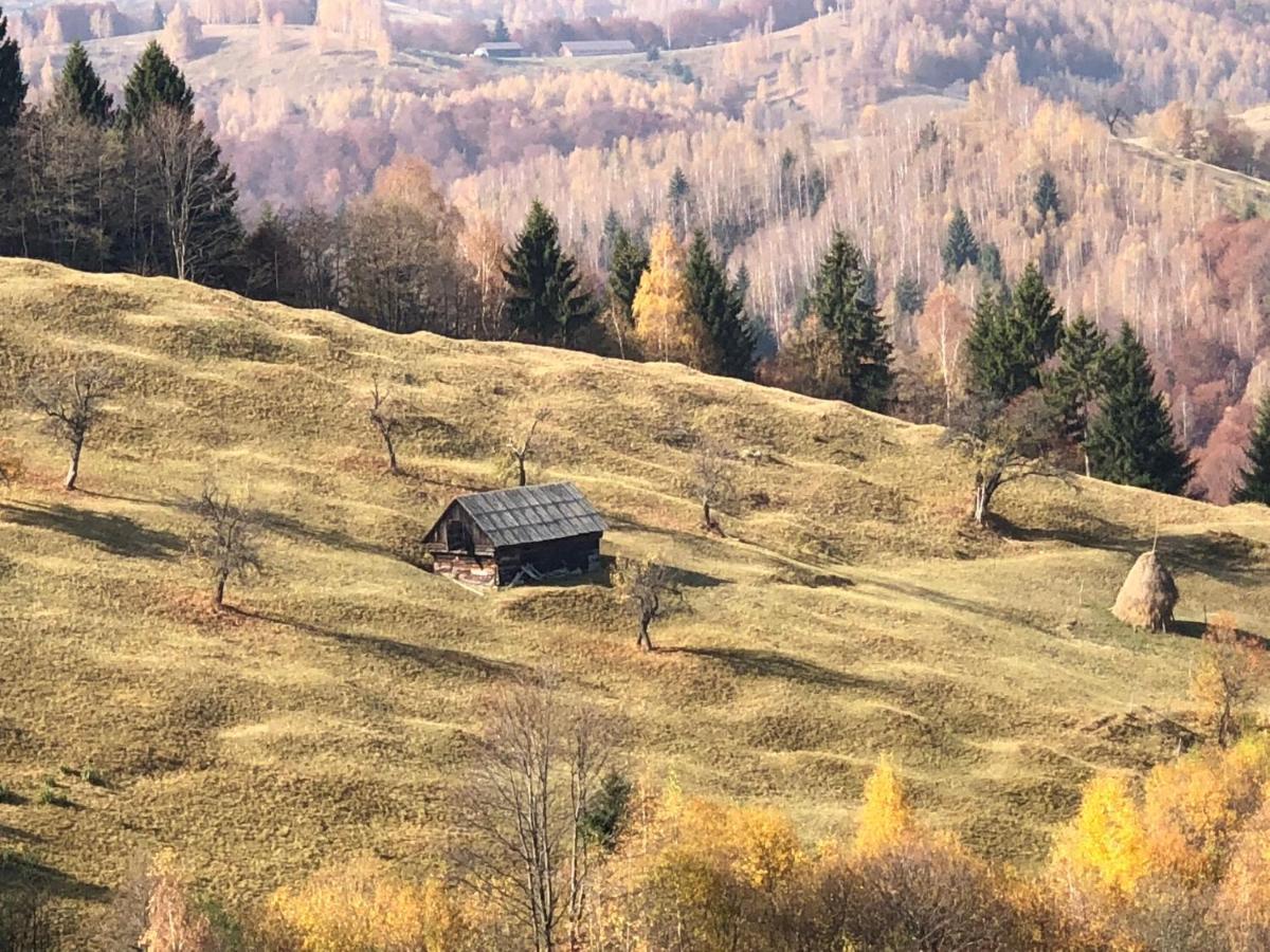 La Maison Des Reves - Bran Bran  Bagian luar foto