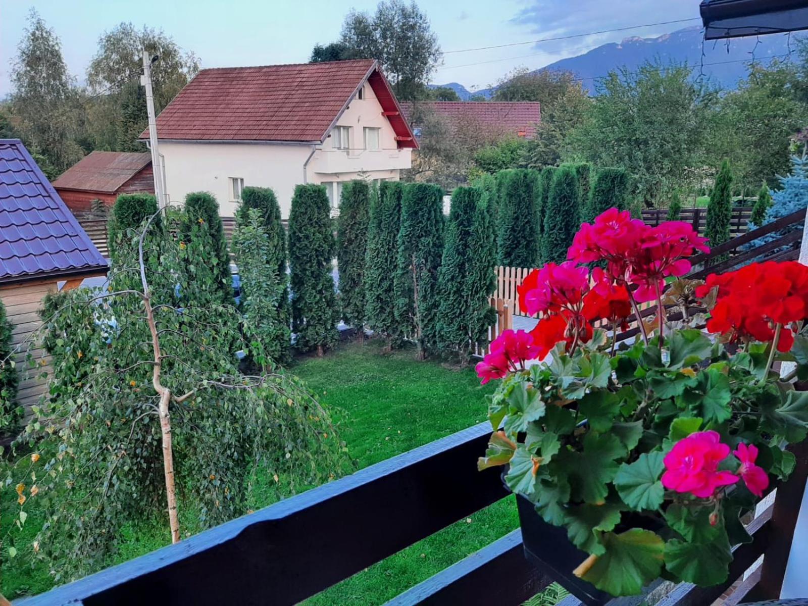 La Maison Des Reves - Bran Bran  Bagian luar foto