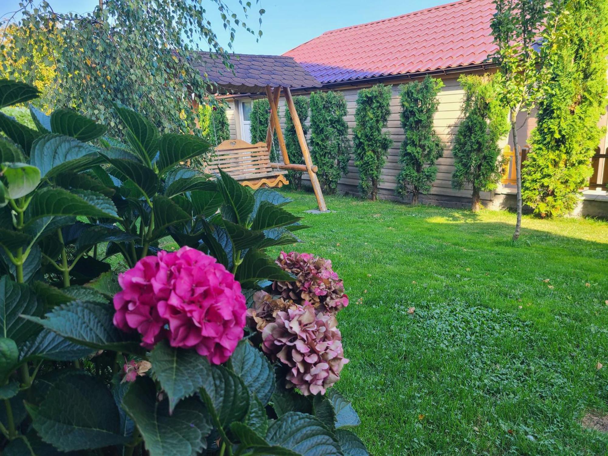 La Maison Des Reves - Bran Bran  Bagian luar foto